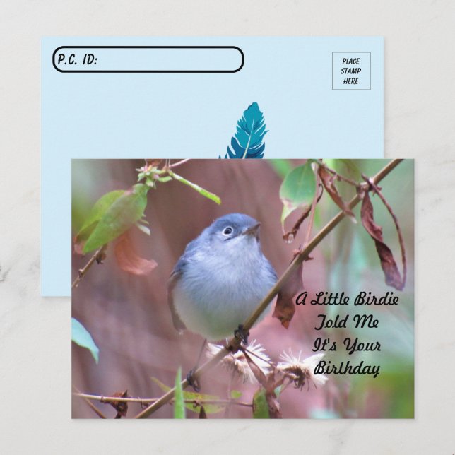 Postal Cartão de Aniversário Postcrossing Little Birdie (Frente/Verso)