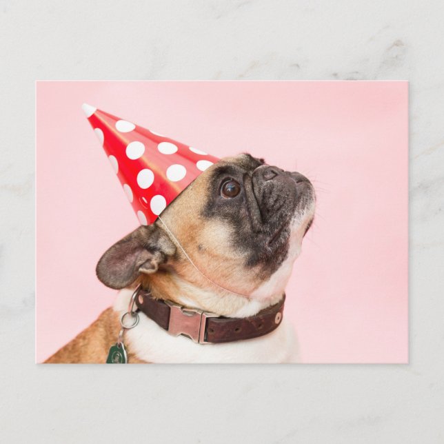 Postal Cartão de aniversário Pug (Frente)