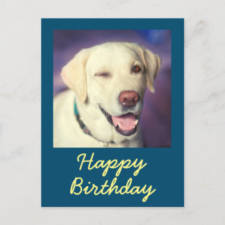 Postal Cartão de Aniversário Retrô Divertido de Cachorro