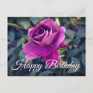 Postal Cartão de Aniversário Rosa Borgonha Iceberg #2