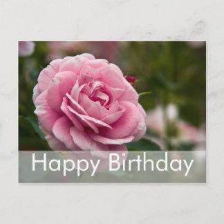 Postal Cartão de Aniversário Rose | Rose Birthday Postcar