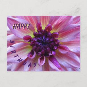 Postal Cartão de aniversário Shades of Purple Dahlia