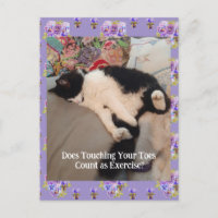 Cartão de aniversário tocando os dedos do gato Tux