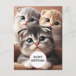 Postal Cartão de Aniversário Três Gatinhos Felizes