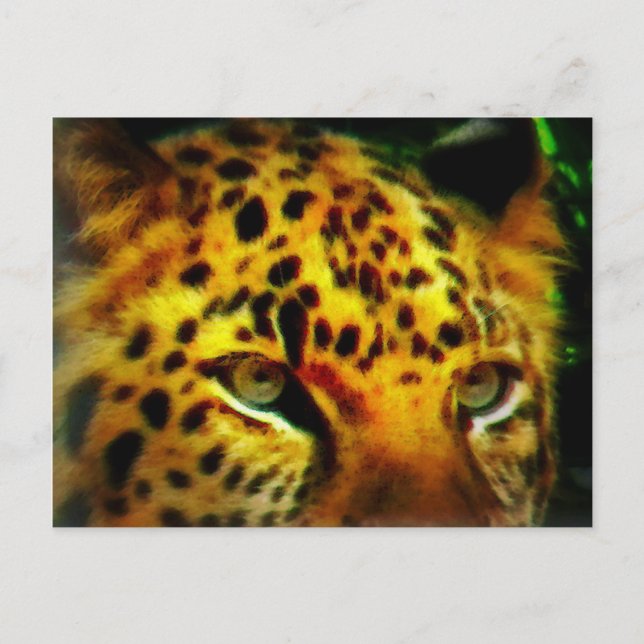 Postal Cartão de Arte de Vida Selvagem da Selva com Olhar (Frente)