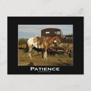 Postal Cartão de Arte Motivacional de Equinos de Cavalo 