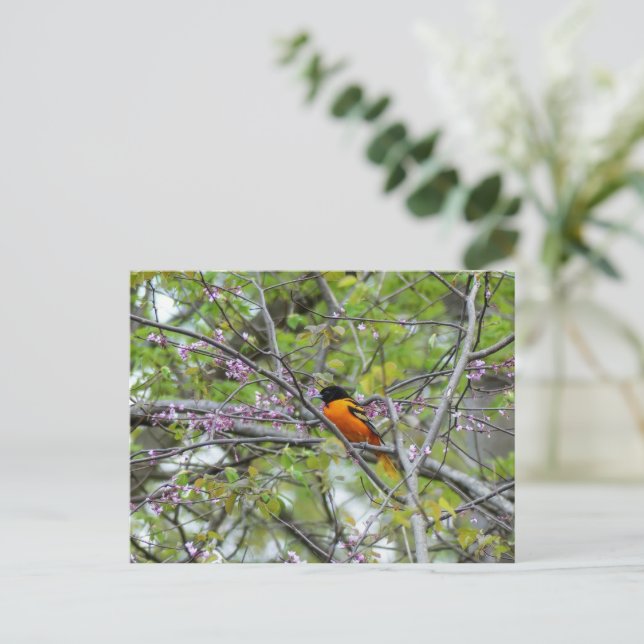 Postal Cartão de Boas-vindas do Baltimore Oriole (Em pé/Frente)