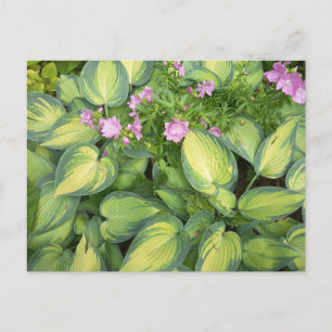 Postal Cartão de Boas Vindas Floral Botânico Folhas de Ho