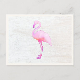 Postal Cartão de Chamada Flamingo, Cor de Água Rosa