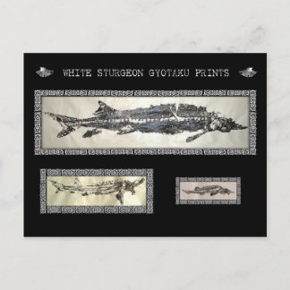 Postal Cartão de Colagem Gyotaku Sturgeon Branco