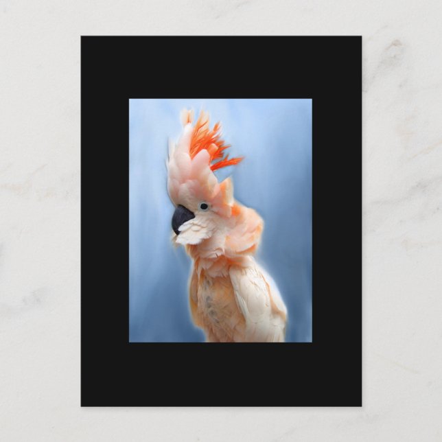 Postal Cartão de Comércio de Arte do ACEO, Cockatoo, Pent (Frente)