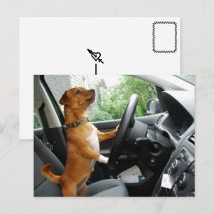 Postal Cartão de Congratulação da Carta de Condução