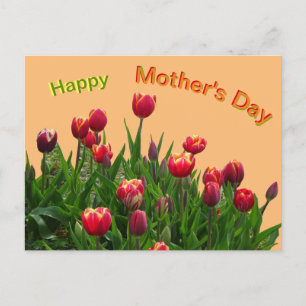 Postal Cartão de Dia das Mães com Tulipas Roxas Amarelas 