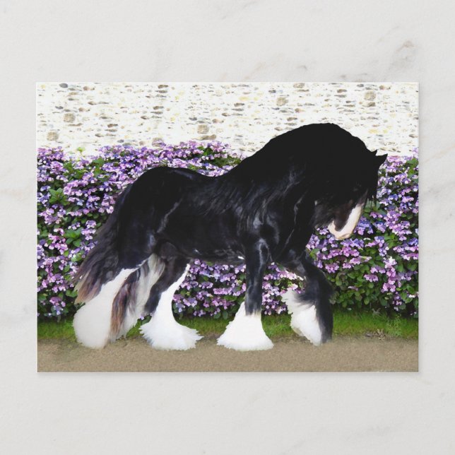 Postal Cartão de "Donegal" (Frente)