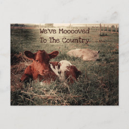 Postal Cartão de Fazenda Engraçado para a Rússia da Vaca