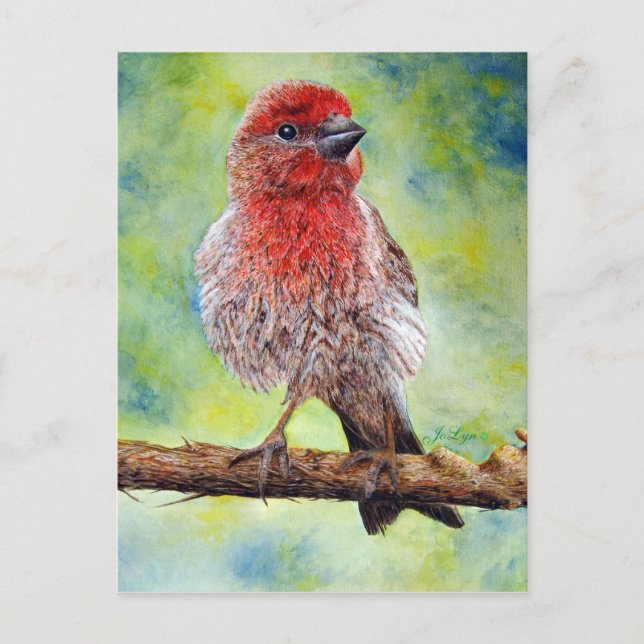 Postal Cartão de Finchy (Frente)