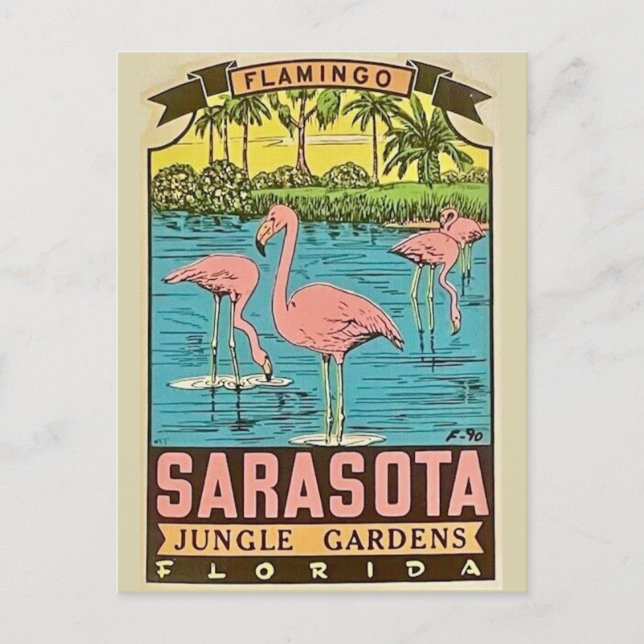 Postal Cartão de Flamingo Vintage de Sarasota (Frente)