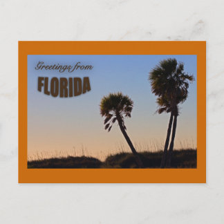 Postal Cartão de Florida da palmeira