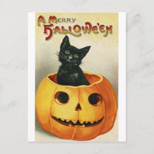 Postal Cartão de Halloween Antigo   Gato Preto na Abóbora