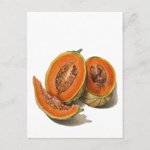 Postal Cartão de ilustração de melão cantaloupe fatiado
