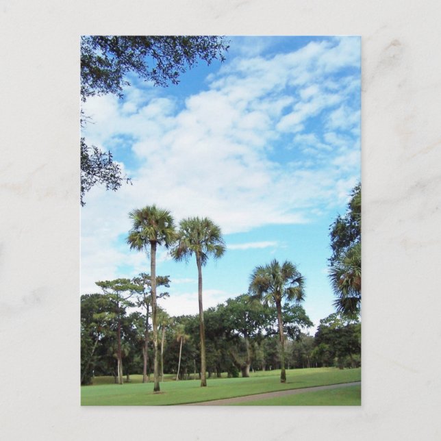 Postal Cartão de Kiawah Island (Frente)