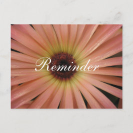 Postal Cartão de Lembrança Pink Daisy