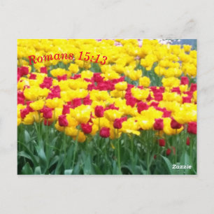 Postal Cartão de Meditação das Escrituras Romanos 15:13