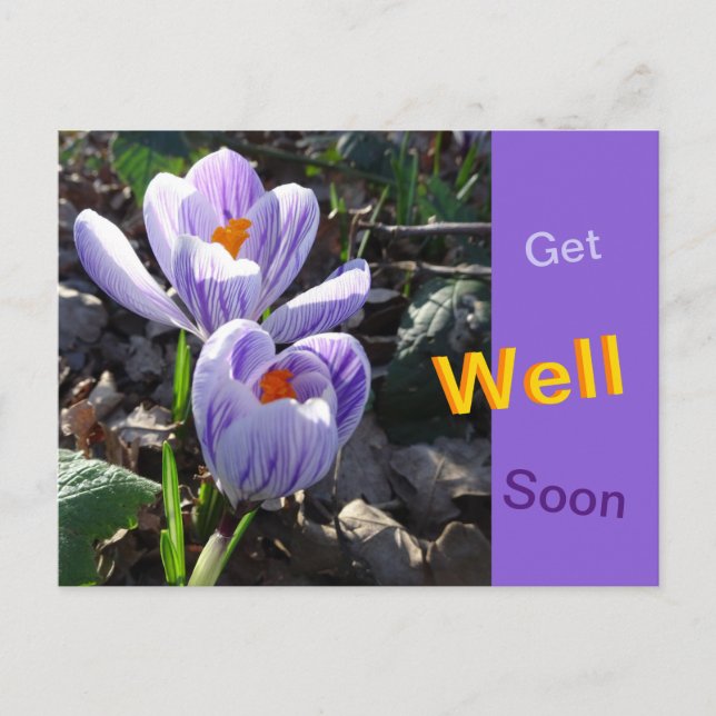 Postal Cartão de Melhoras com Crocus Listrados (Frente)