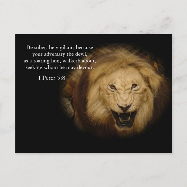 Postal Cartão de Memória de Versículo Bíblico (Frente)