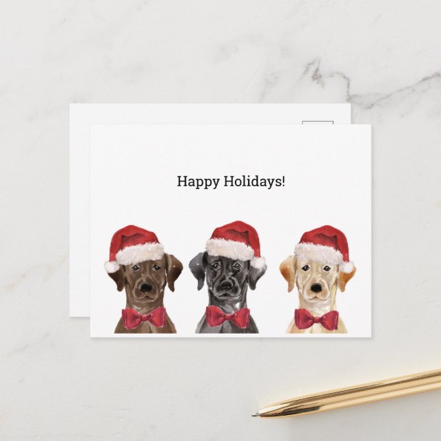 Postal Cartão de Natal com Três Labradores (Frente/Verso In Situ)