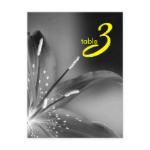 cartão de número de tabela