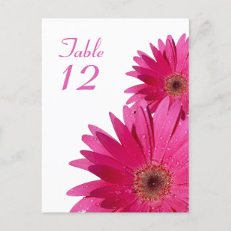 Postal Cartão de Número de Tabela Daisy Gerbera Rosa