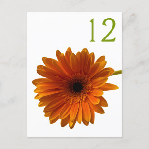 Postal Cartão de Número de Tabela de Margarida de Gerbera