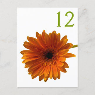 Postal Cartão de Número de Tabela de Margarida de Gerbera
