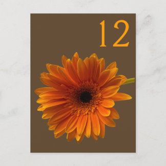 Postal Cartão de Número de Tabela de Margarida de Gerbera
