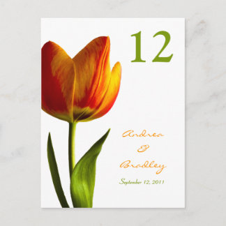 Postal Cartão de Número de Tabela Tulip Laranja