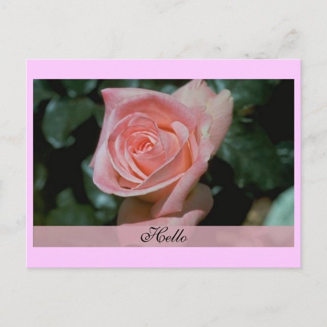 Postal Cartão de Olá (Frente)