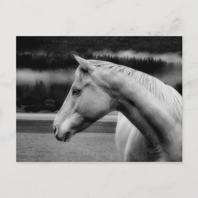 Postal Cartão de Posto Bela Branca (Frente)