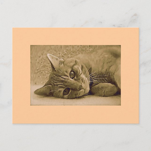 Postal Cartão de Posto Cat Tabby Laranja (Frente)