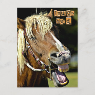 Postal Cartão de Posto Cavalo Ridente