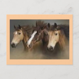 Postal Cartão de posto com Cavalos