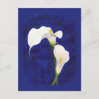Postal cartão de posto de lírios calla