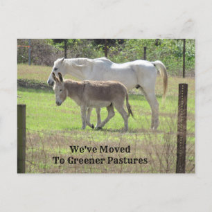 Postal Cartão de Posto de Novo Endereço Horse e Donkey