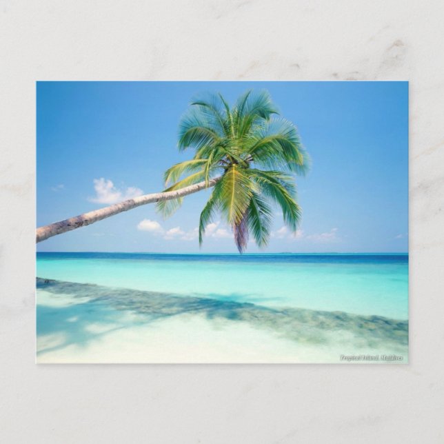 Postal cartão de posto de praia de cariava (Frente)