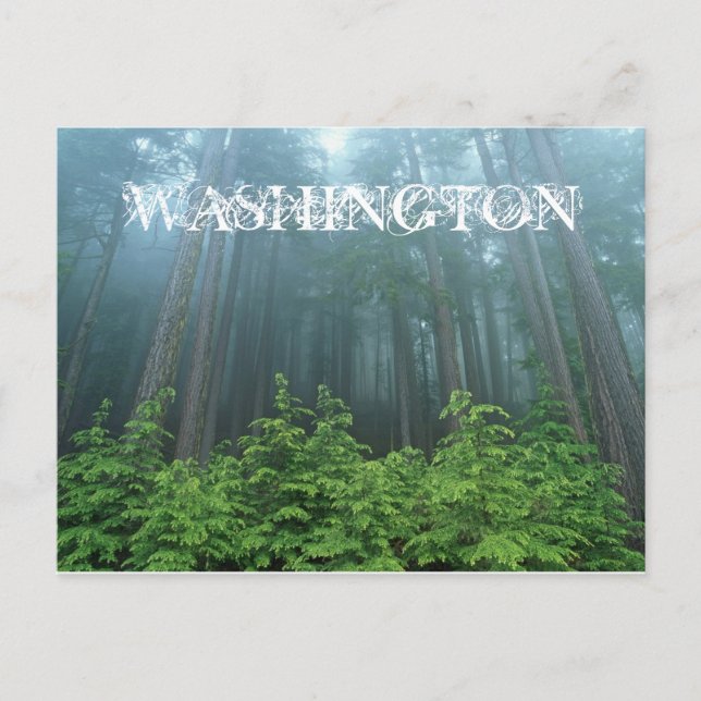 Postal Cartão de Posto do Estado de Washington (Frente)
