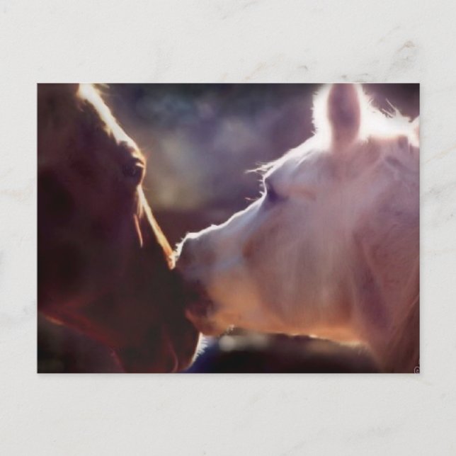 Postal Cartão de Posto Equine para Melhores Amigos (Frente)