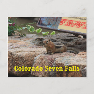 Postal Cartão de Posto Fechado Sete Falls Colorado G Squi