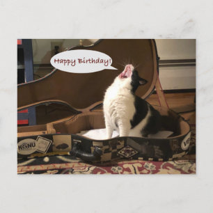 Postal Cartão de posto, Feliz Aniversário, Gato Cantando 