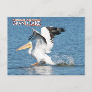 Postal Cartão de posto Grand Lake Oklahoma pelican1