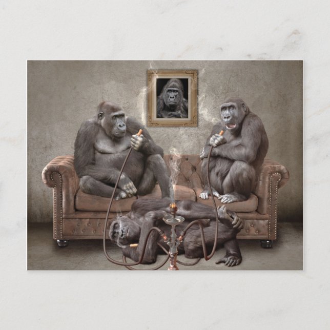 Postal Cartão de Posto Hookah Smoking Apes (Frente)